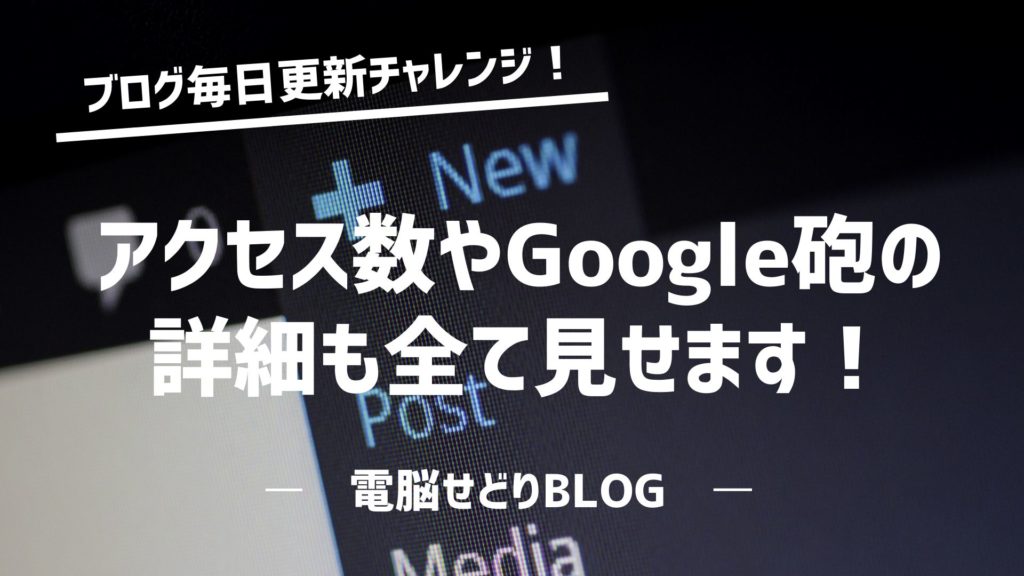 『ブログ毎日更新チャレンジ！』ブログを1か月連続更新した結果を公開！アクセス数やGoogle砲の詳細も全て見せます！