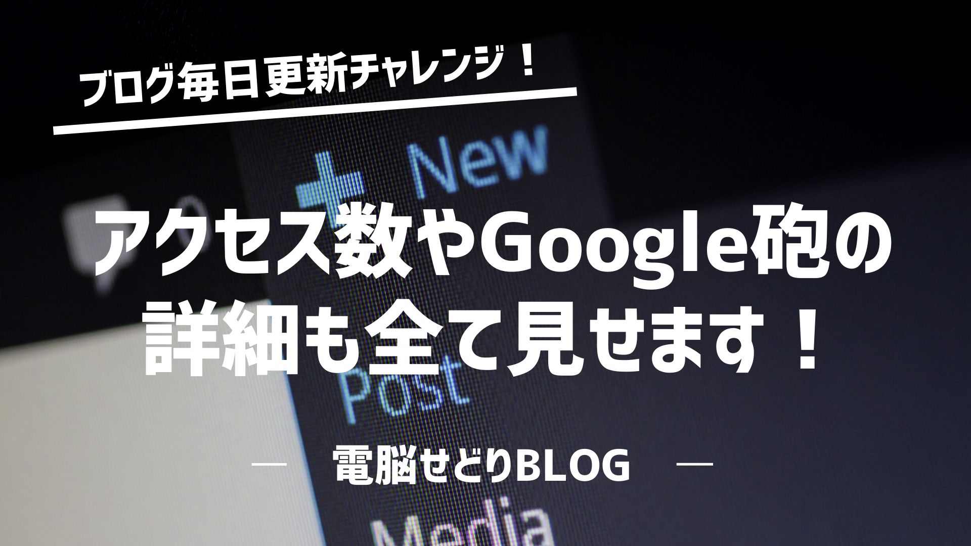 『ブログ毎日更新チャレンジ！』ブログを1か月連続更新した結果を公開！アクセス数やGoogle砲の詳細も全て見せます！