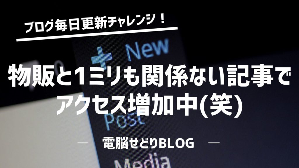 『ブログ毎日更新チャレンジ！』ブログを2か月連続更新した結果を公開！物販と全く関係ない記事でアクセス増加中(笑)